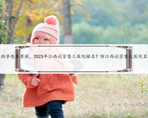 南京2023代孕报价,2促排方案有哪些